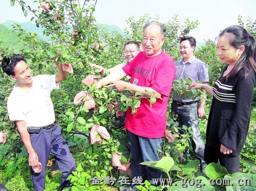 现代果树栽培与管理(现代果树生产包含哪些内容)