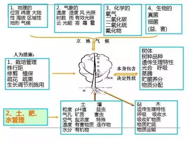 掌握果园的管理要点(果园管理有哪些要点)