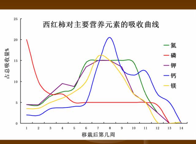 作物缺素典型症状图(作物缺素症的症状及表现)