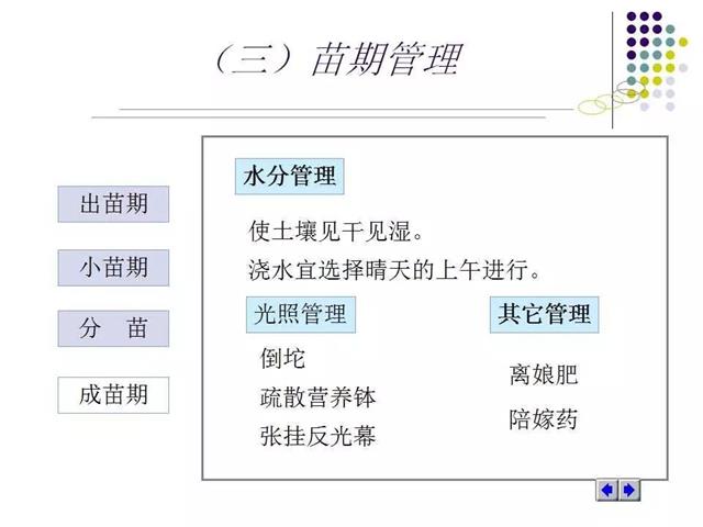 育苗技术大全