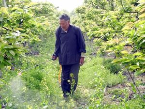 果园生态治虫技术(果园生态治虫技术研究)