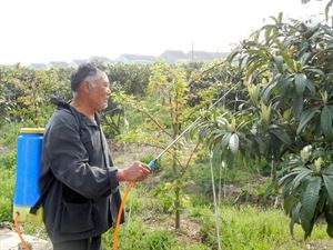 果园生态治虫技术(果园生态治虫技术研究)