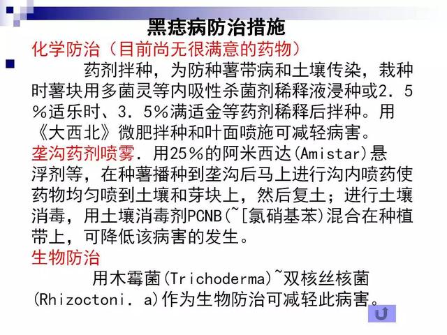 最全的马铃薯病害详解(马铃薯晚疫病是检疫性病害吗)