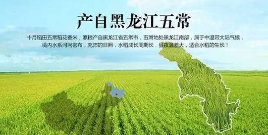 五常市为什么适宜种植水稻