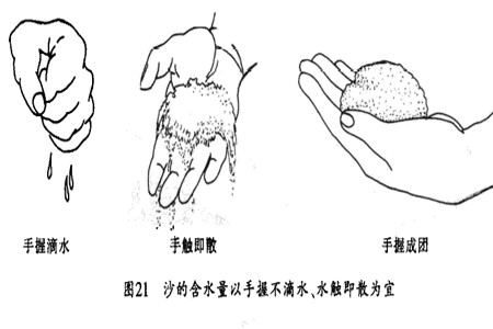 银杏种子什么时候栽种(银杏种子什么时候栽种合适)