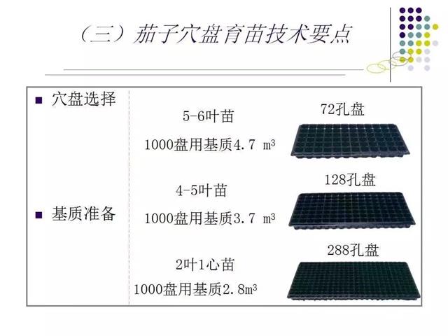 育苗技术大全