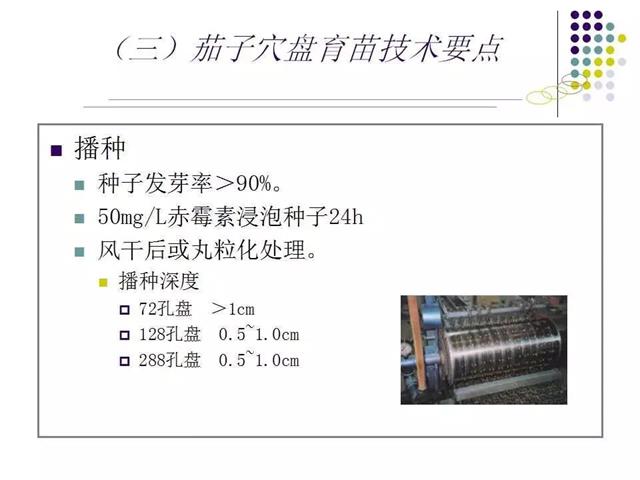 育苗技术大全