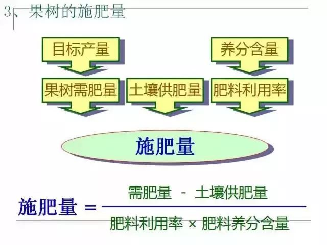 掌握果园的管理要点(果园管理有哪些要点)