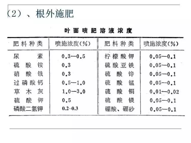 掌握果园的管理要点(果园管理有哪些要点)