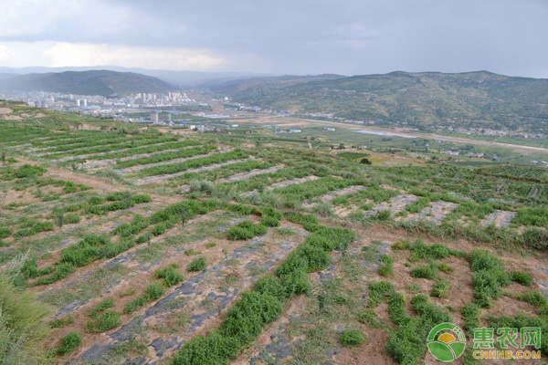 在山地上能建果园吗(山地车链条上油正确方法)