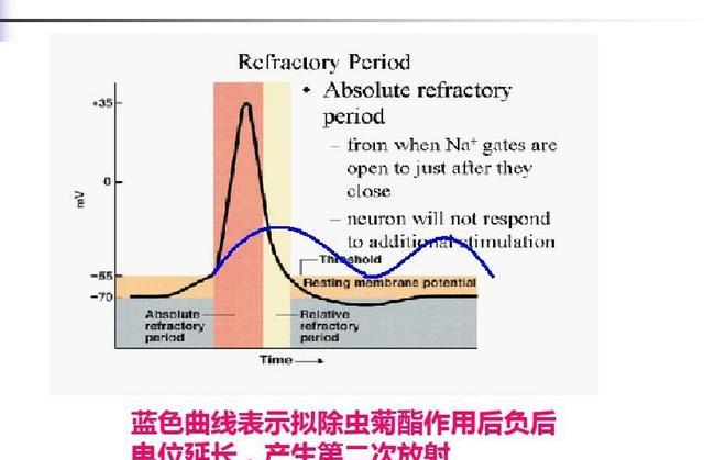 为什么梨木虱喷药后第二天感到严重了