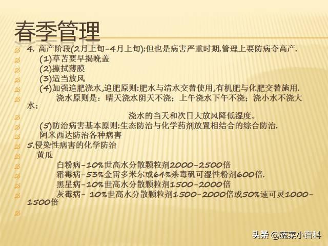 日光温室冬春茬黄瓜栽培技术