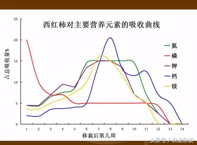 作物缺啥肥高清图片