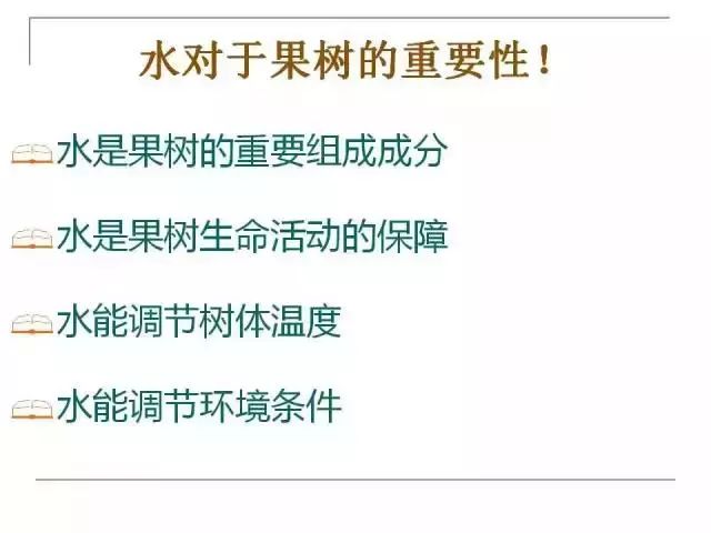 掌握果园的管理要点(果园管理有哪些要点)