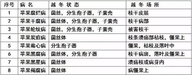 果树清园11个要点(过期口红的11个妙用)