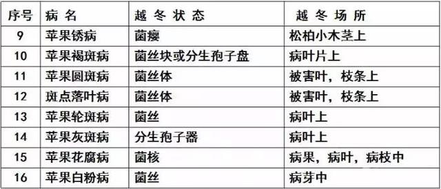 果树清园11个要点(过期口红的11个妙用)