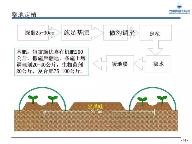 西瓜栽培核心技术(西瓜栽培新技术)