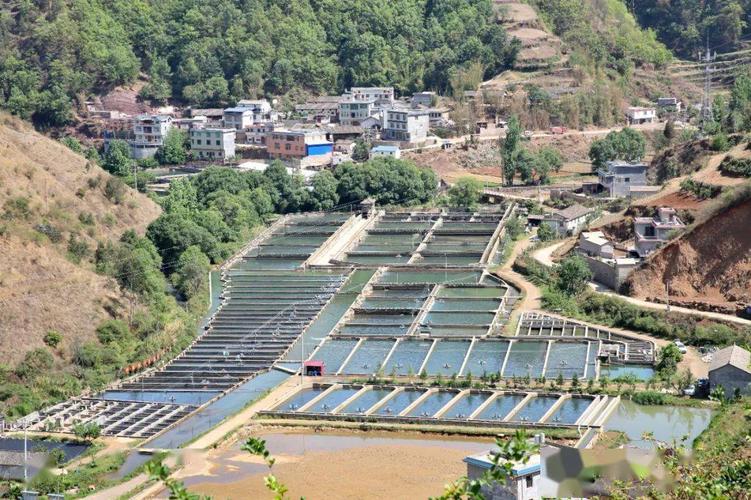 种植养殖技术员培训内容