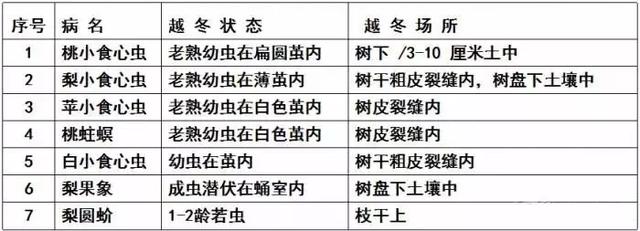 果树清园11个要点(过期口红的11个妙用)