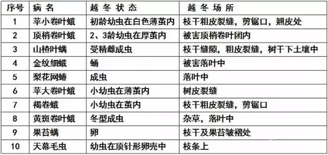 果树清园11个要点(过期口红的11个妙用)