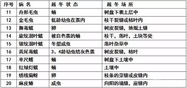 果树清园11个要点(过期口红的11个妙用)