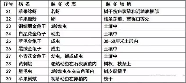 果树清园11个要点(过期口红的11个妙用)