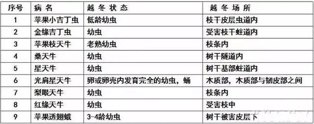 果树清园11个要点(过期口红的11个妙用)