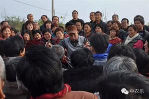 核桃树整形修剪新模式(某农户种植核桃树和杏树已知种植的核桃树)