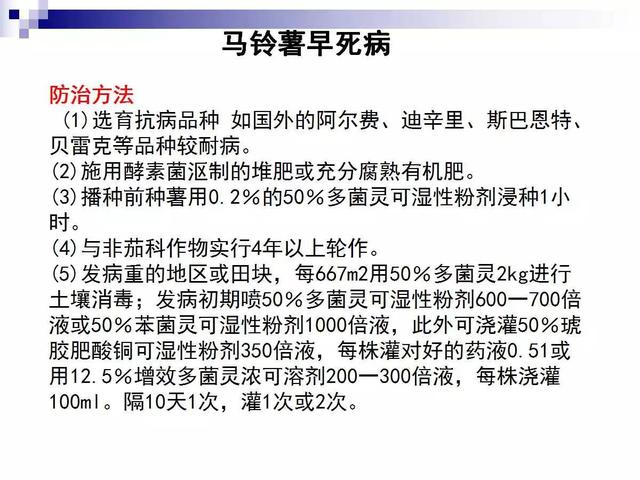 最全的马铃薯病害详解(马铃薯晚疫病是检疫性病害吗)