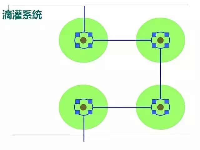 掌握果园的管理要点(果园管理有哪些要点)