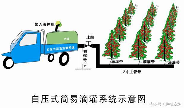 几种肥水一体化模式特点及资金预算(水肥一体化的技术要点)