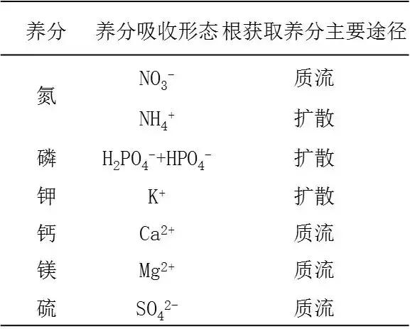 根系是如何吸收矿质养分的(根系吸收营养的三种方式)