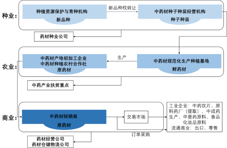 中药材种植的现状与发展思路