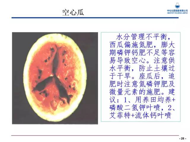 西瓜栽培核心技术(西瓜栽培新技术)