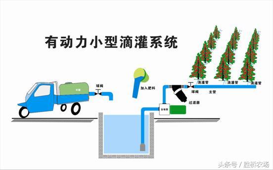 几种肥水一体化模式特点及资金预算(水肥一体化的技术要点)