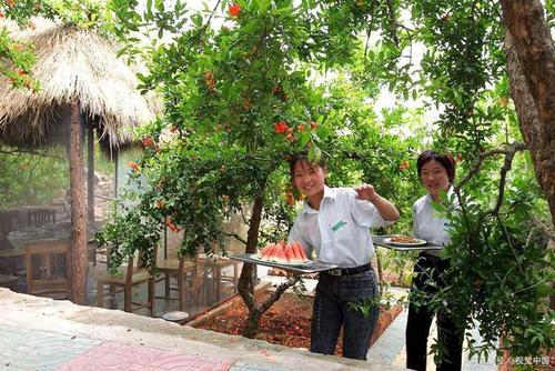 庭院果树种植(庭院果树种植盆栽)