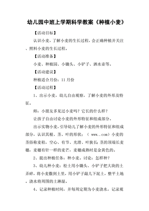 中班科学种小麦教案活动反思