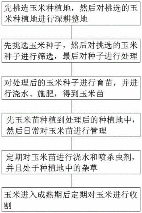 海南玉米种植技术流程