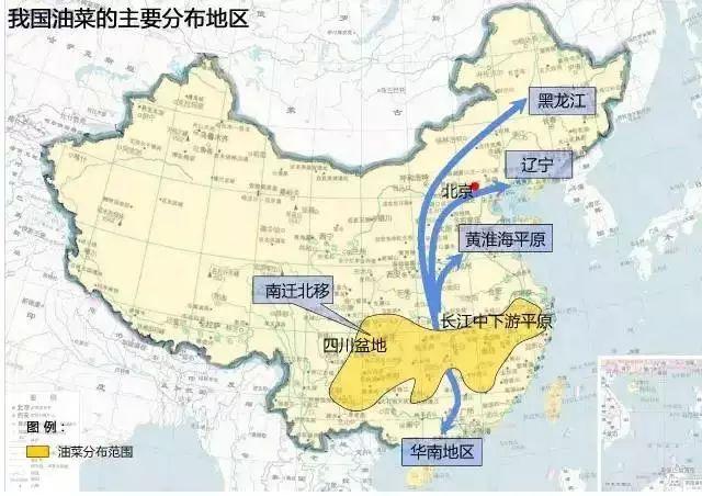 中国农业地图详解(中国农业地图详解大全)