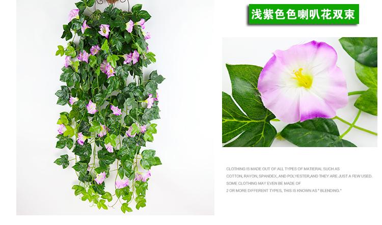 牵牛花吊兰怎么养