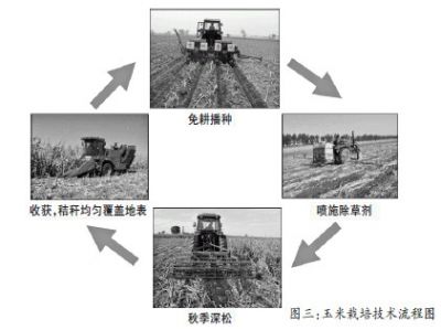 覆盖免耕生态种植技术(覆盖的英文)