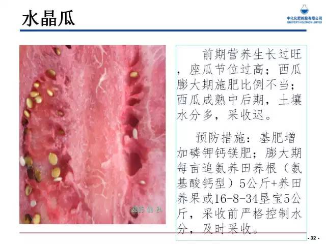 西瓜栽培核心技术(西瓜栽培新技术)