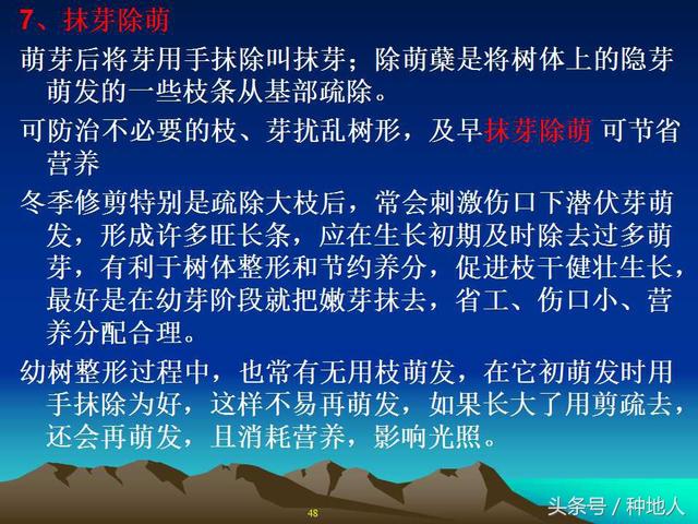 核桃整形修剪技术图解(树木整形修剪技术图解)