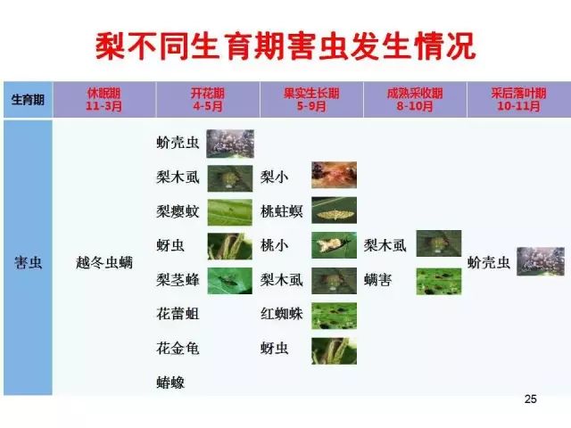 果树虫害发生规律图解(果树嫁接十八法图解)