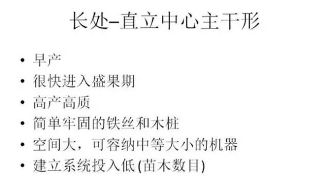 苹果树整形及修剪技术(苹果树修剪技术视频整形和修剪)