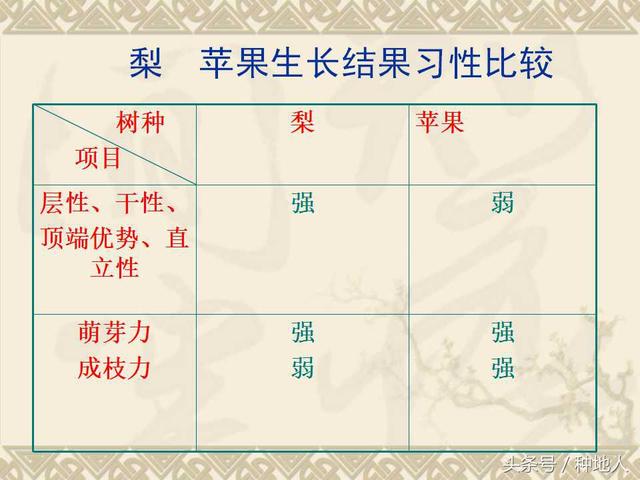 梨树整形修剪技术详解(图文)(梨树修剪方法示意图)