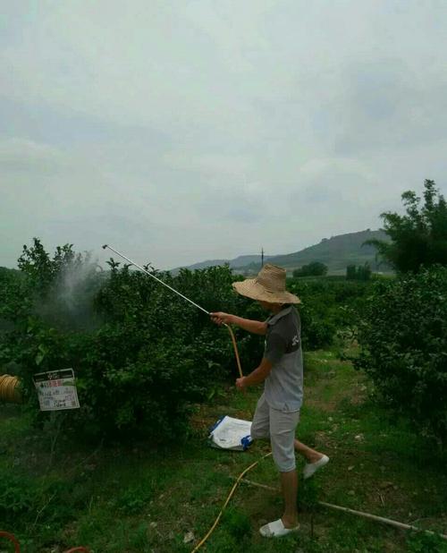 杀果树螨虫最有效的方法(祛斑最好的方法 目前最有效的)