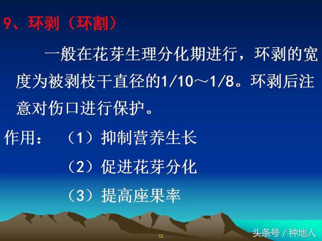 核桃整形修剪技术图解(树木整形修剪技术图解)