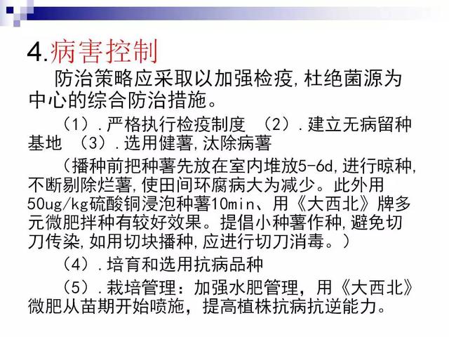 最全的马铃薯病害详解(马铃薯晚疫病是检疫性病害吗)