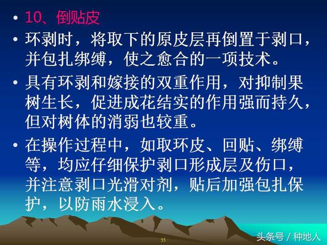 核桃整形修剪技术图解(树木整形修剪技术图解)